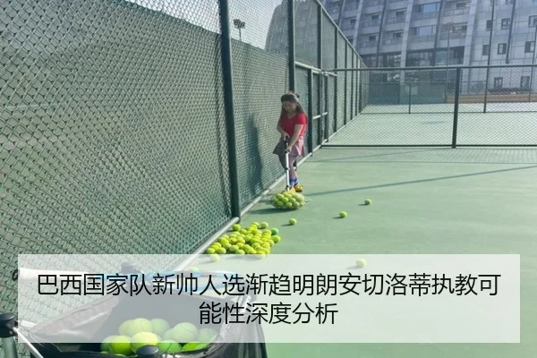 巴西国家队新帅人选渐趋明朗安切洛蒂执教可能性深度分析