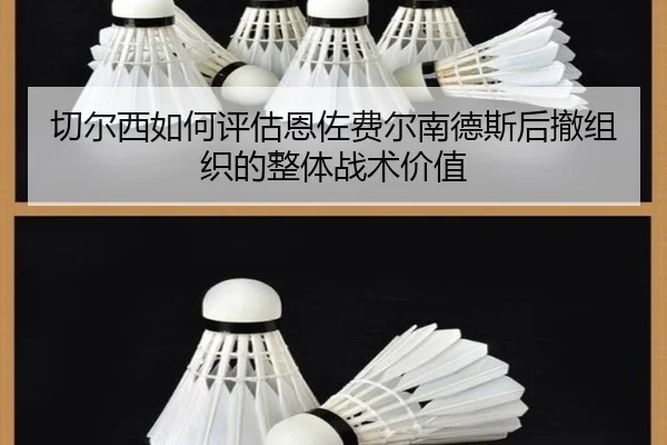 切尔西如何评估恩佐费尔南德斯后撤组织的整体战术价值