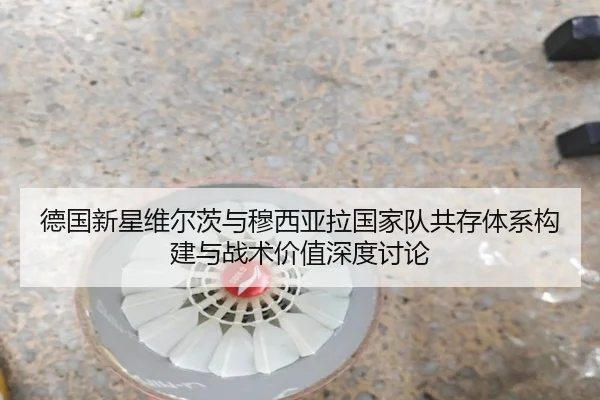 德国新星维尔茨与穆西亚拉国家队共存体系构建与战术价值深度讨论