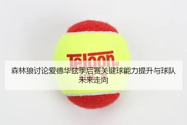 森林狼讨论爱德华兹季后赛关键球能力提升与球队未来走向