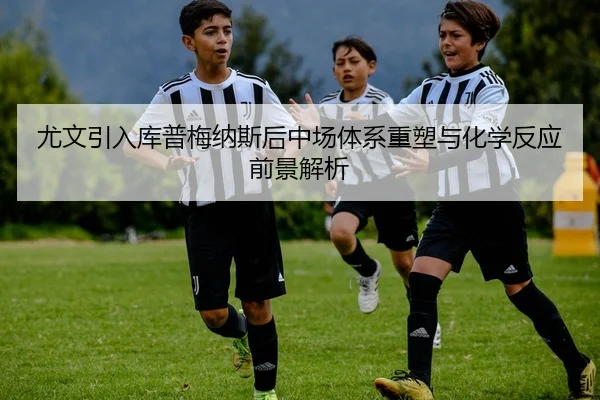 尤文引入库普梅纳斯后中场体系重塑与化学反应前景解析